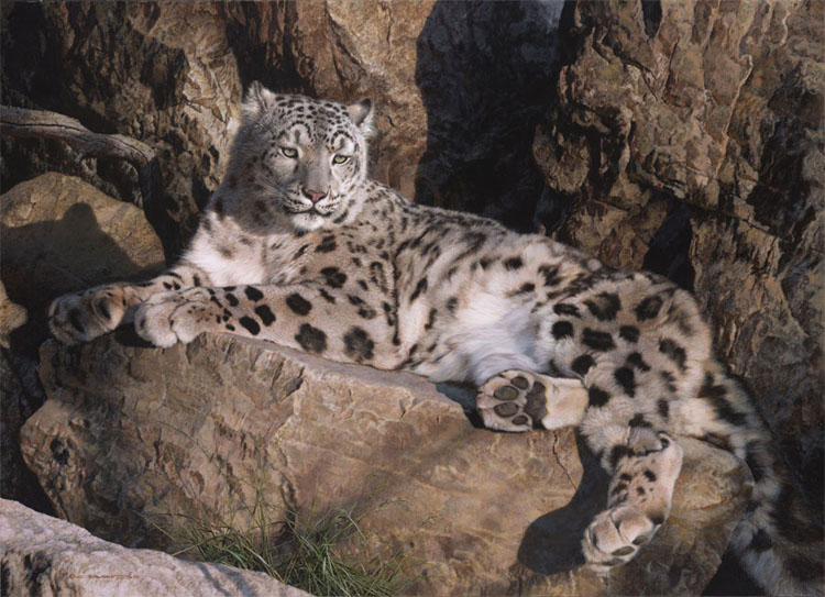 (image for) Handmade oil painting Copy paintings of famous artists Carl Brenders Paintings Ghose Cat-Snow Leopard - Click Image to Close